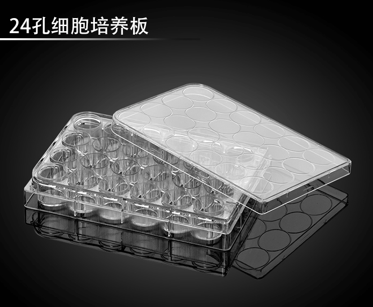 产品搜索
